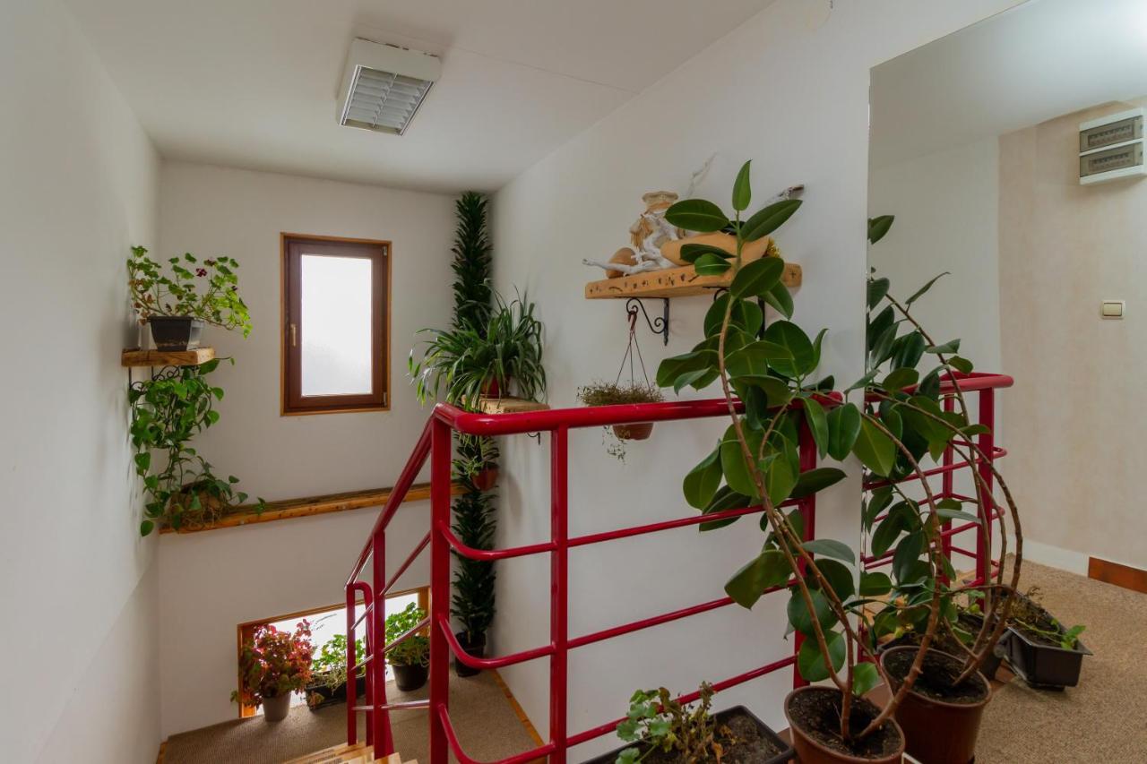 Apartmani Nika Ζλάτιμπορ Εξωτερικό φωτογραφία