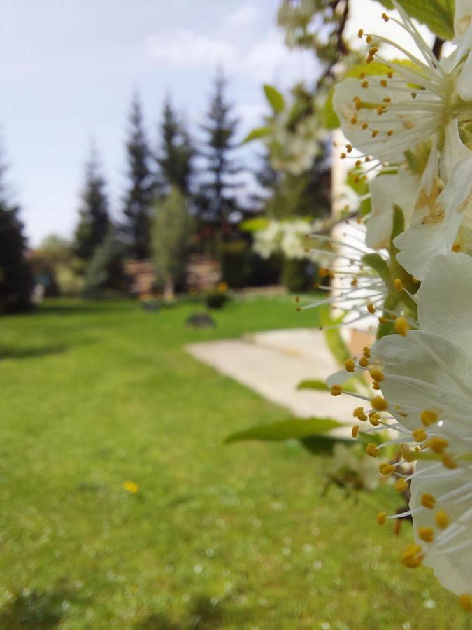 Apartmani Nika Ζλάτιμπορ Εξωτερικό φωτογραφία